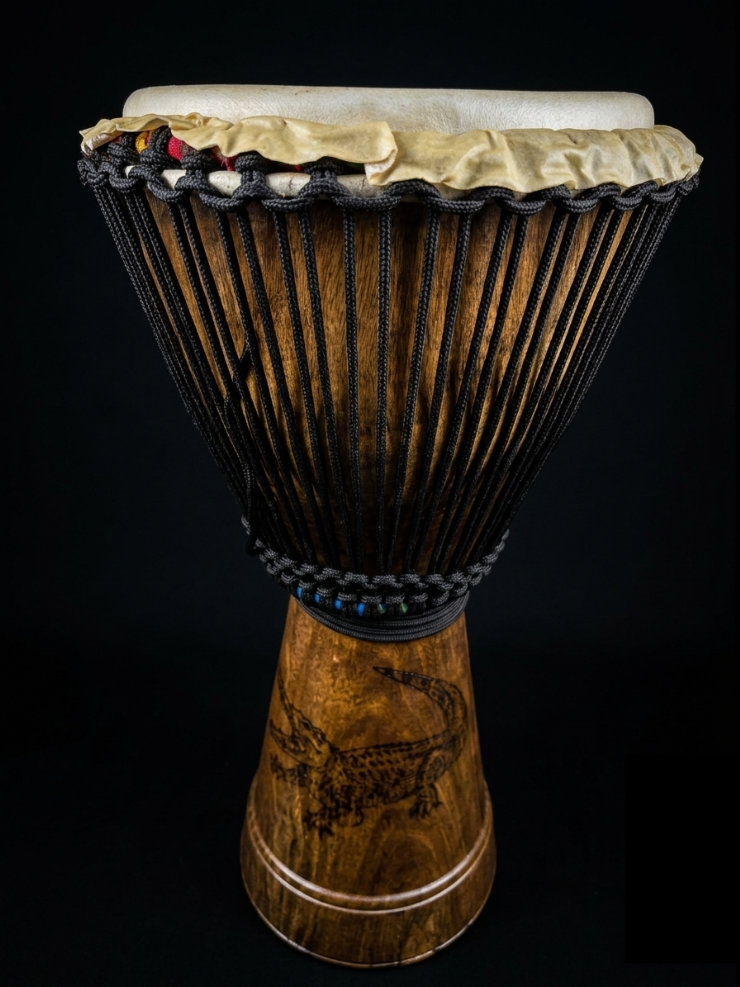 Djembe 10x50 Crocodilo Ipê