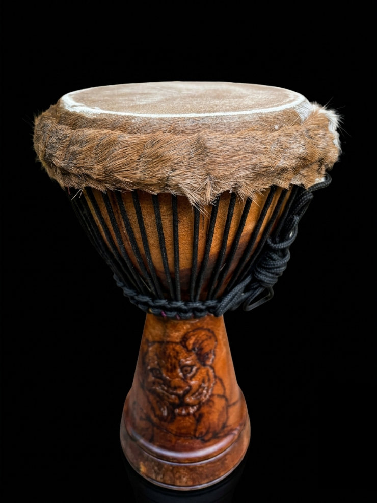 Djembe Leaozinho filhote 5