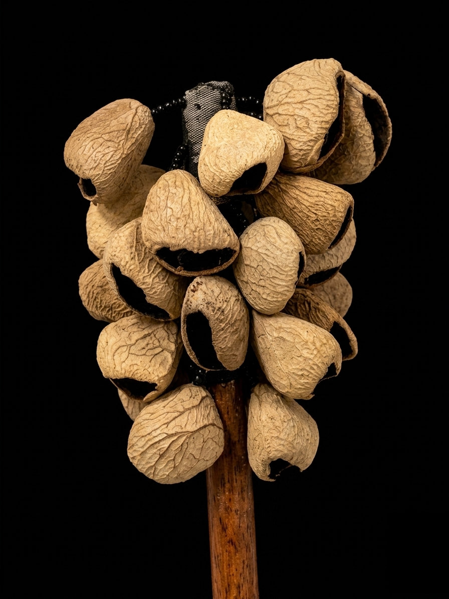 Chocalho de Cabo de Pequi